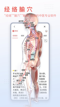 3DBody解剖纯净版