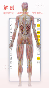 3DBody解剖纯净版