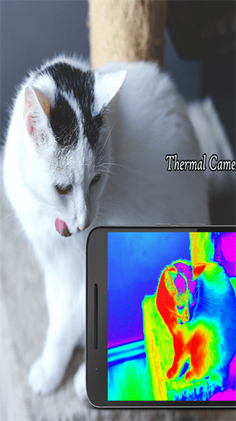 thermalcamera汉化版