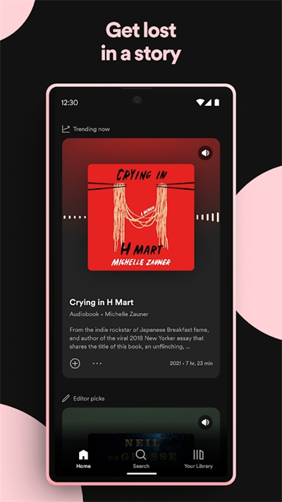 spotifymusic安装包下载