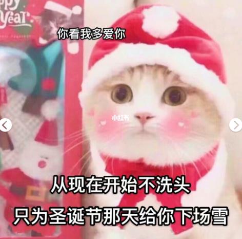 从现在开始不洗头只为圣诞节的时候给你下场雪表情包