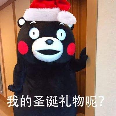 圣诞节我不想要任何礼物表情包
