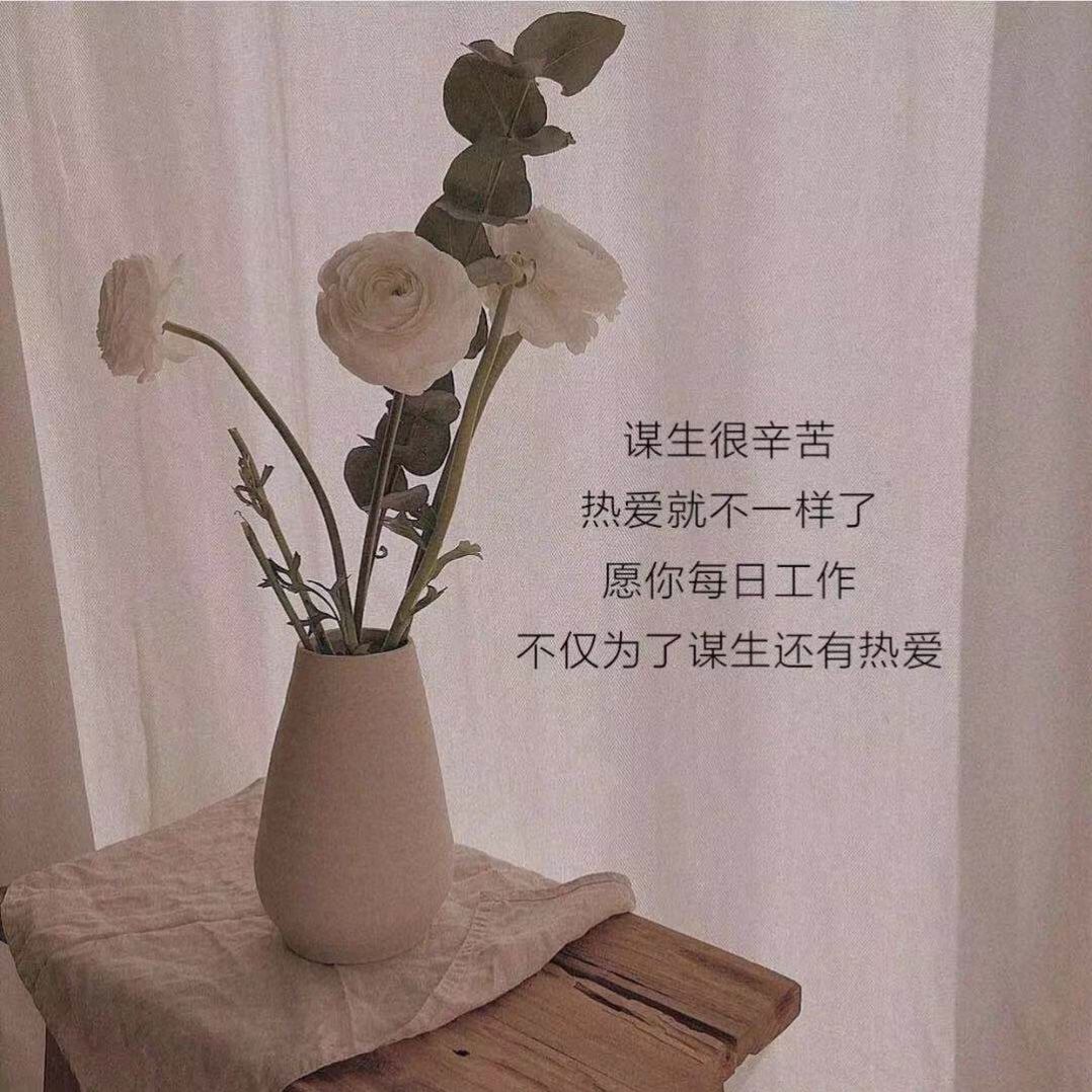 一岁一礼一寸一欢喜2023全糖去冰图片