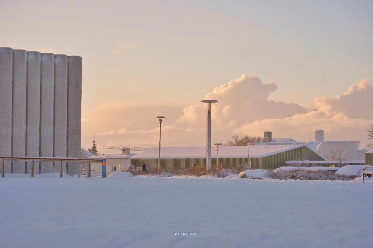 我爱你永远为期死亡为界壁纸